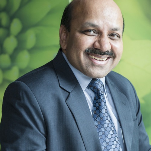 Mr. Mahendra Kumar Gupta